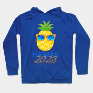 2023 Hawaii Vacation Pineapple Hoodie